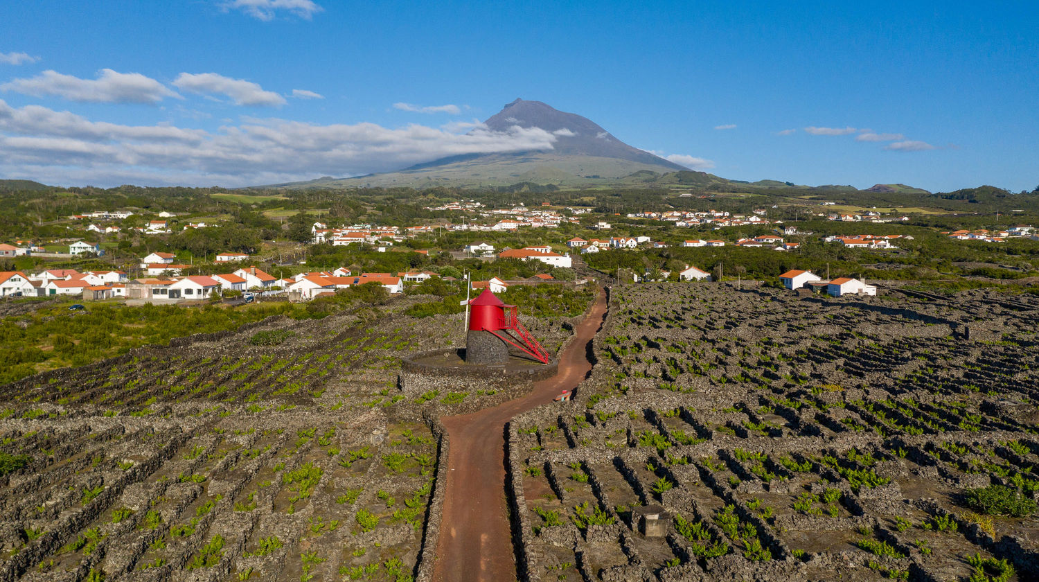Paisagem da Cultura da Vinha da Ilha do Pico