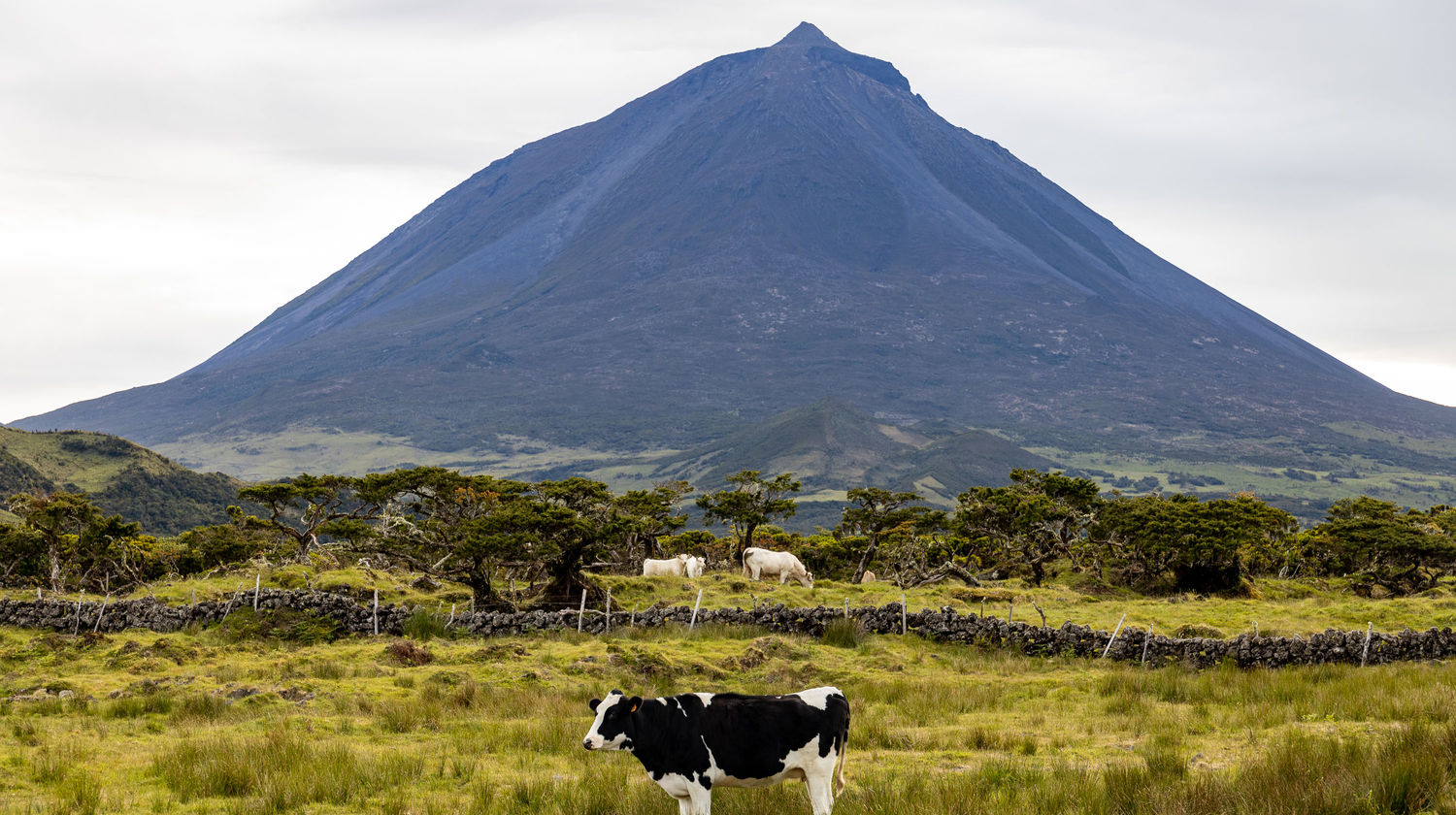Montanha do Pico, Ilha do Pico