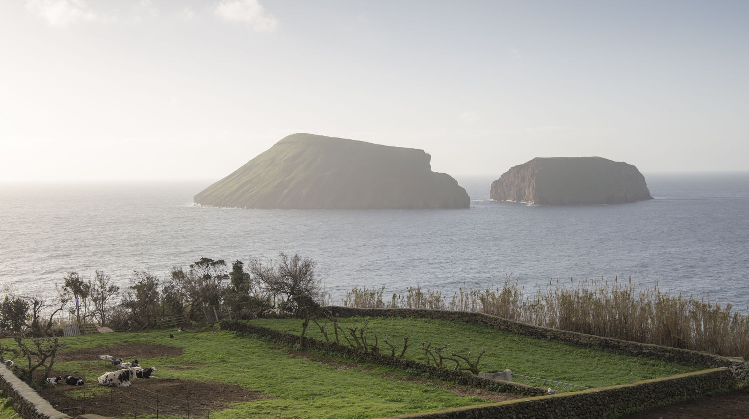 Ilhéus das Cabras, Ilha Terceira