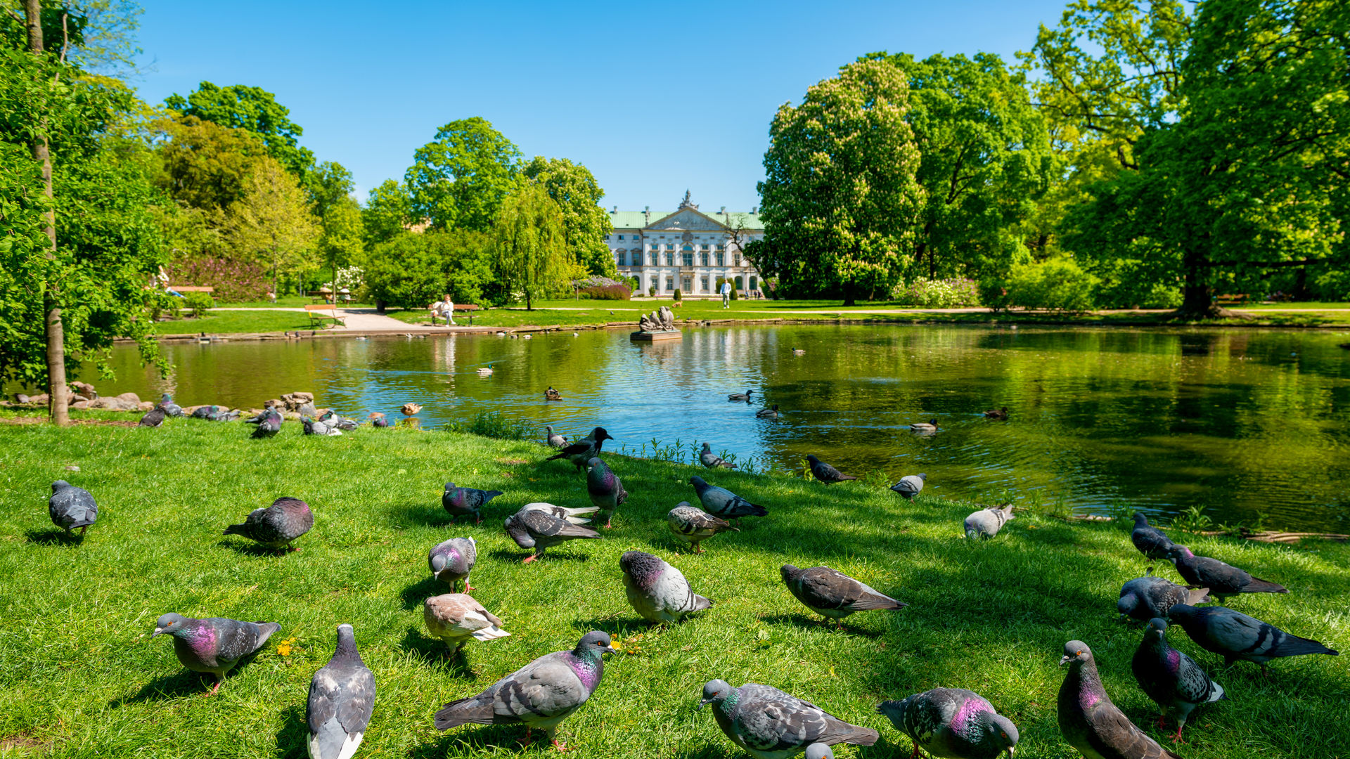 Palácio Krasinski, Varsóvia