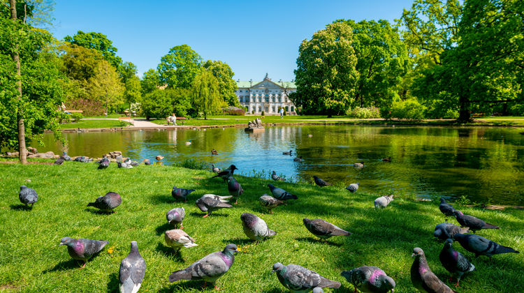 Palácio Krasinski, Varsóvia