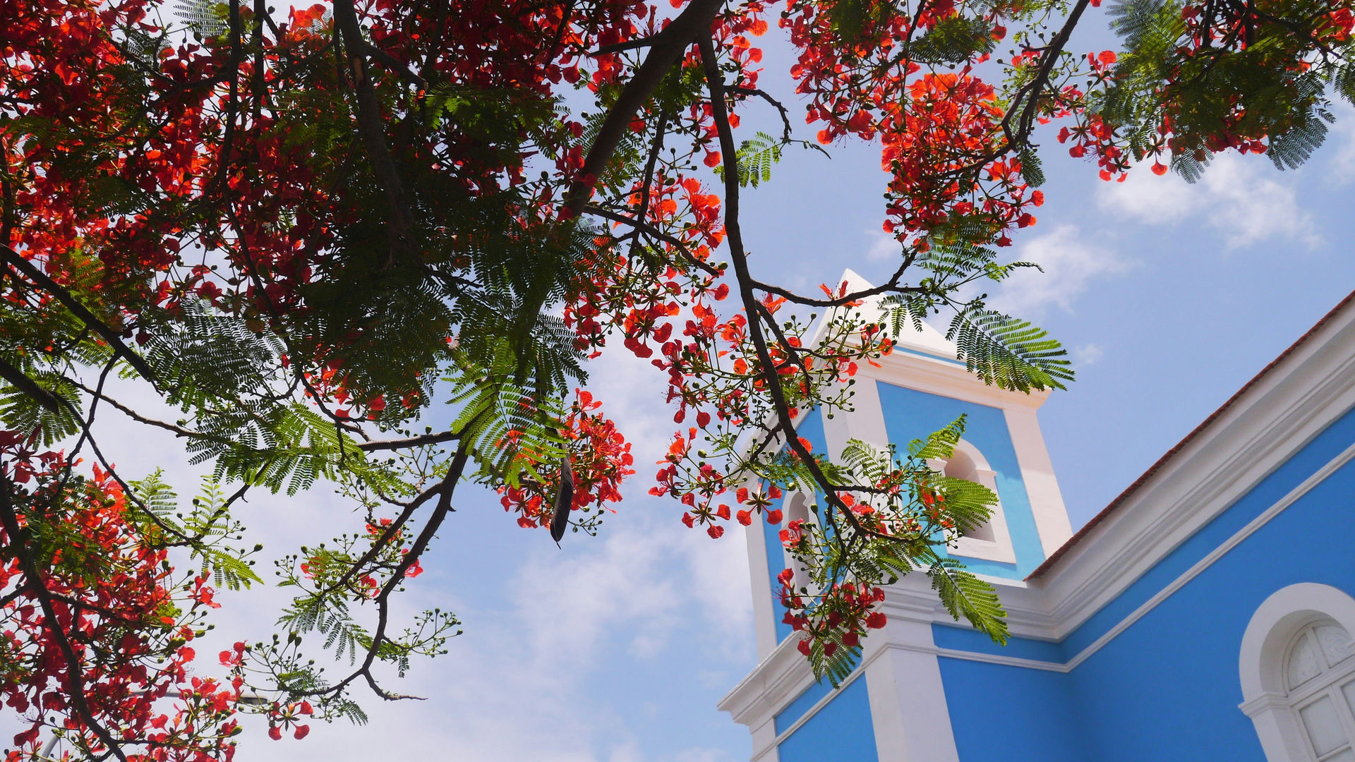 Ribeira Grande  © Samuel Borges Photography