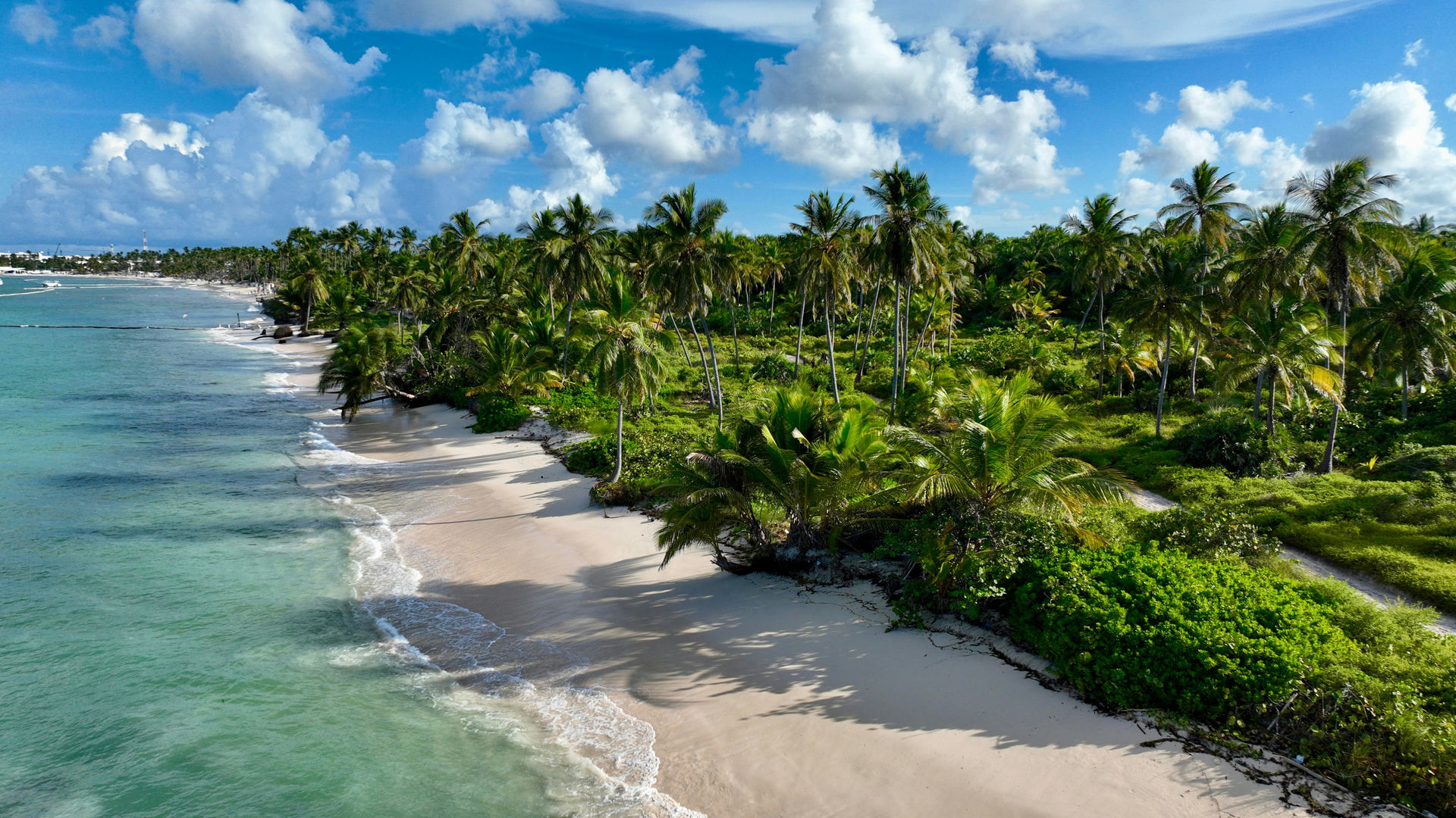 Praias Tropicais, Punta Cana