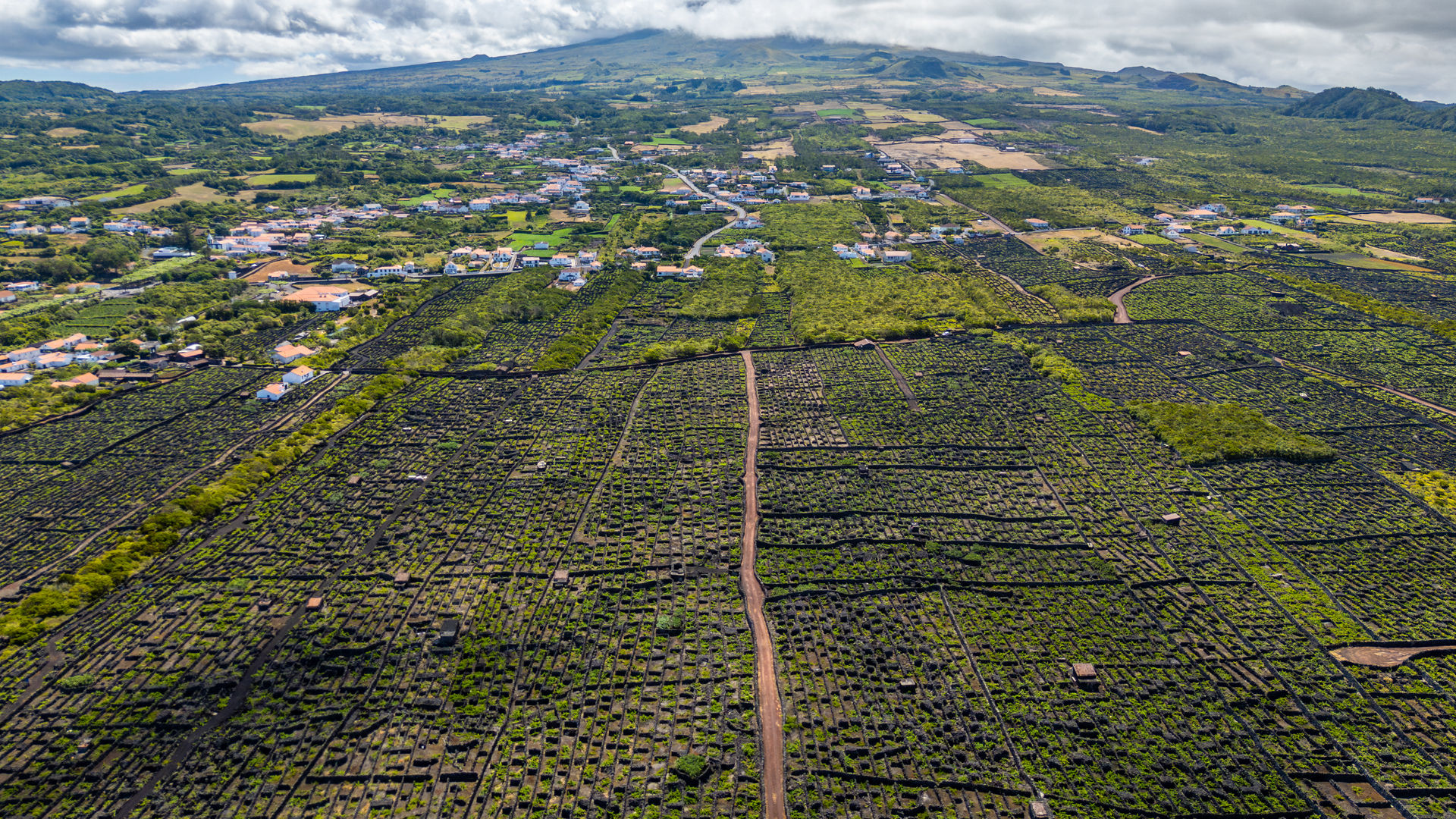 Paisagem da Cultura da Vinha da Ilha do Pico