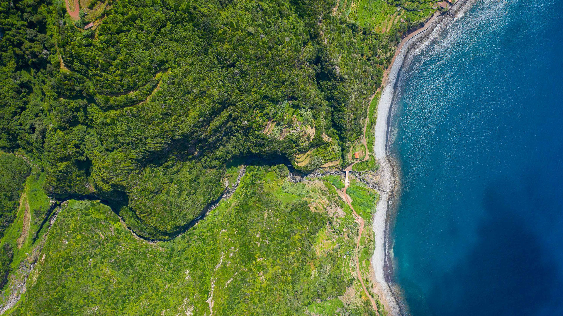 Fajã da Caldeira de Santo Cristo, Ilha de São Jorge