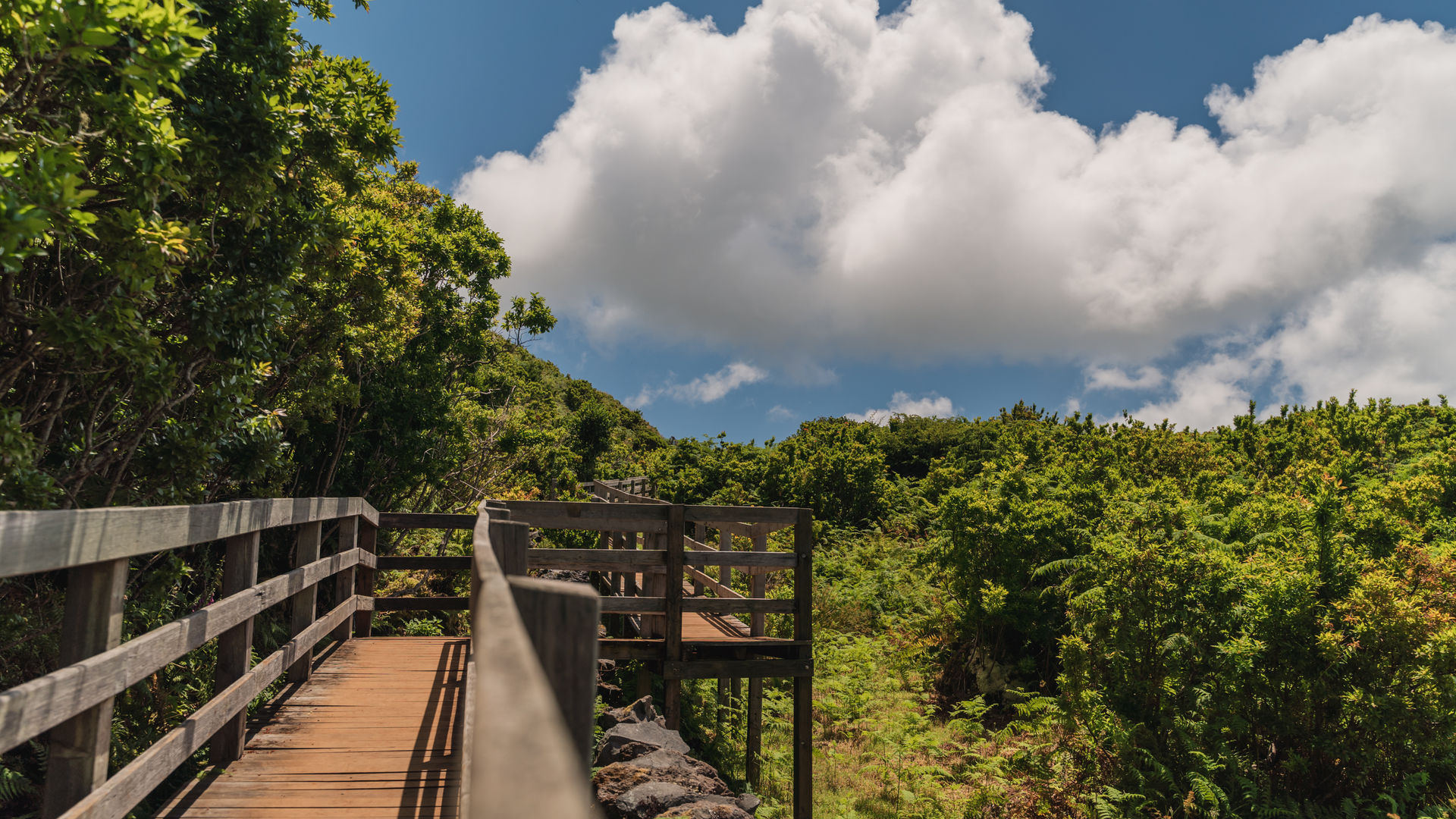 Furnas do Enxofre, Ilha Terceira