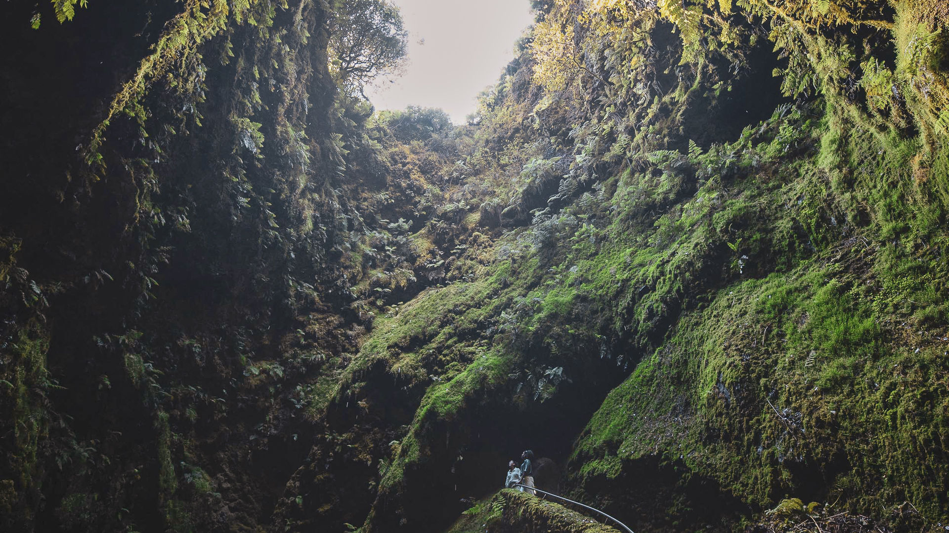 Algar do Carvão, Ilha Terceira