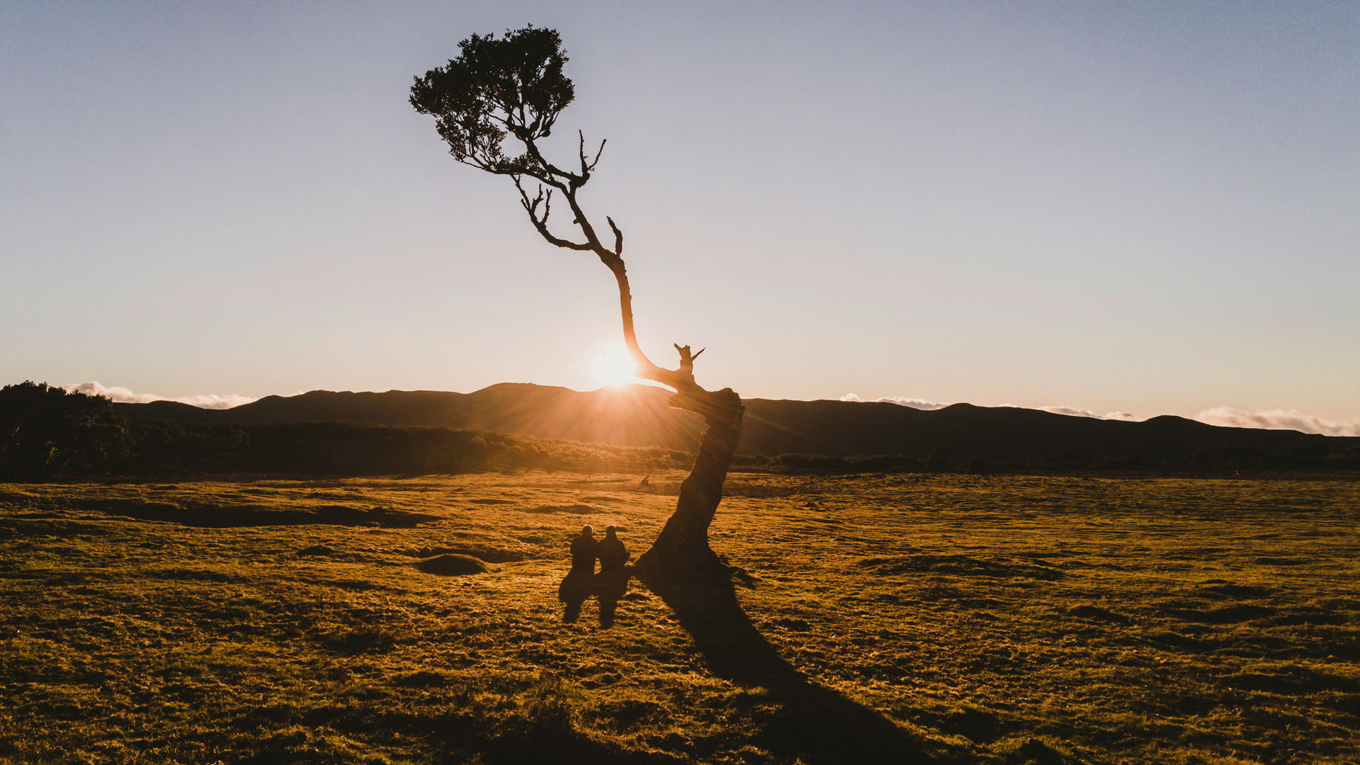 Floresta do Fanal, Madeira