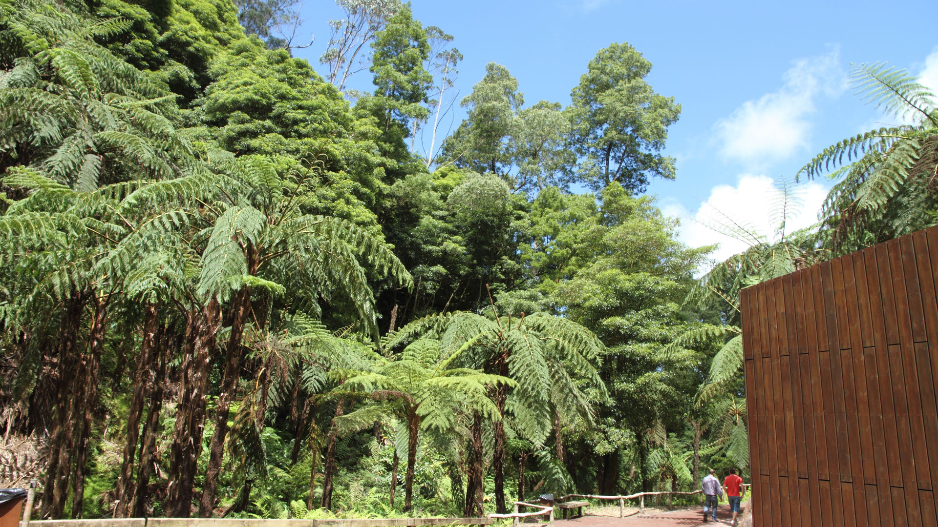 Caldeira Velha, Ribeira Grande