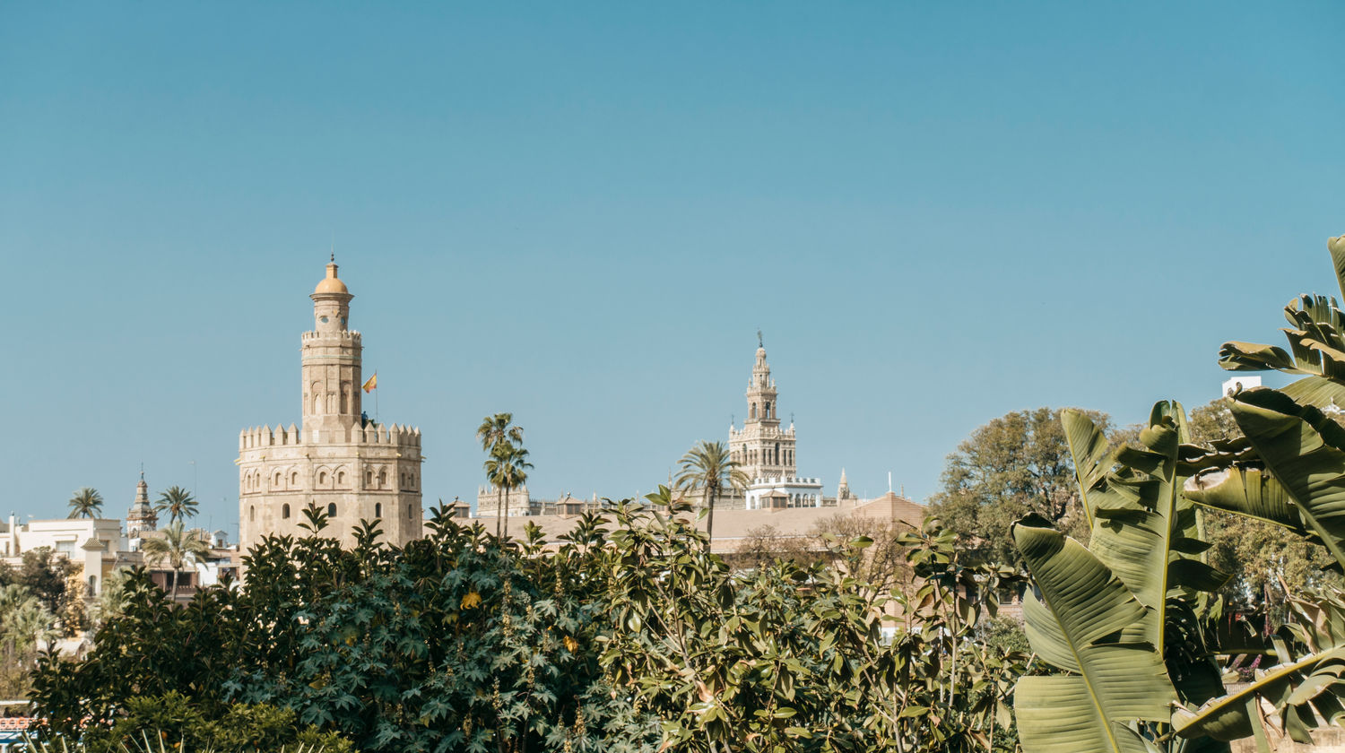 Torre Del Oro