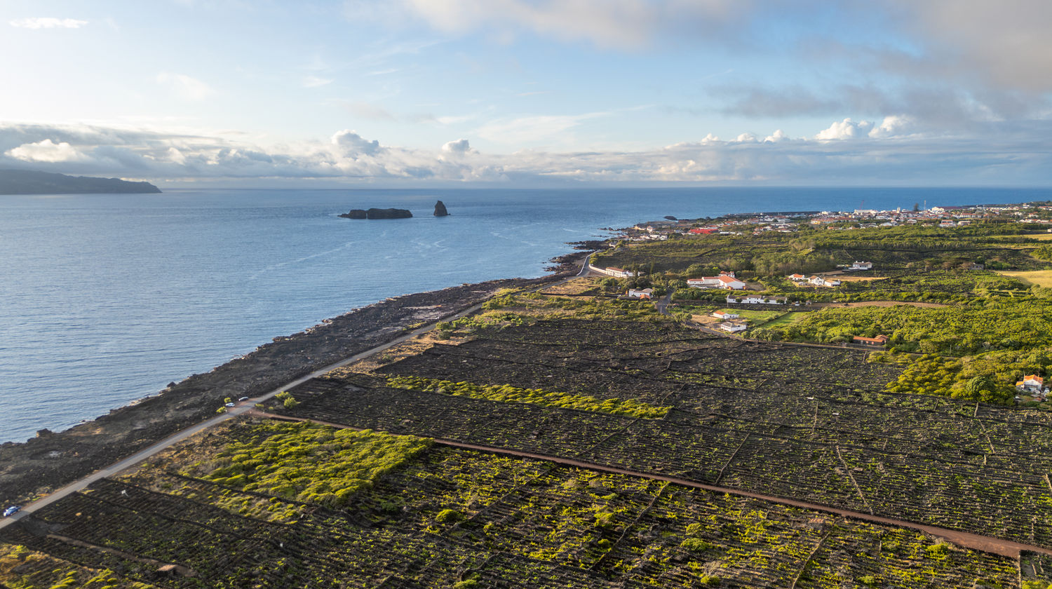  Paisagem da Cultura da Vinha, Ilha do Pico