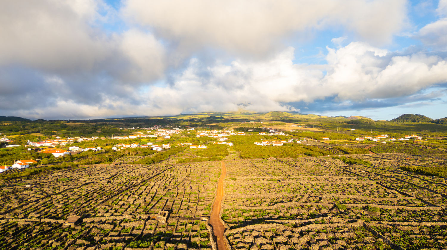  Paisagem da Cultura da Vinha, Ilha do Pico