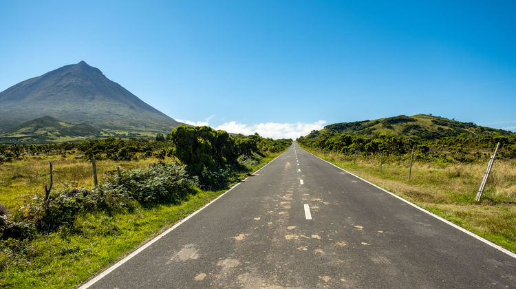 Estrada Florestal da Ilha do Pico