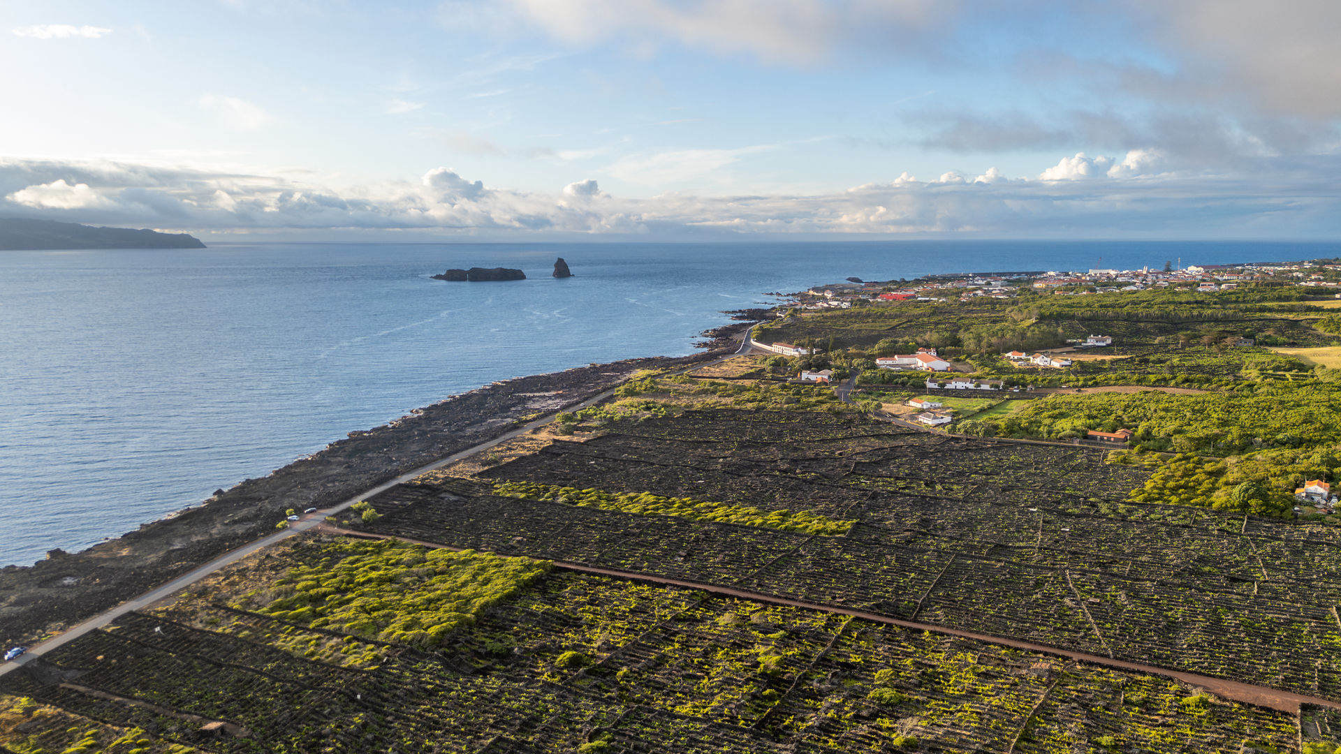  Paisagem da Cultura da Vinha, Ilha do Pico