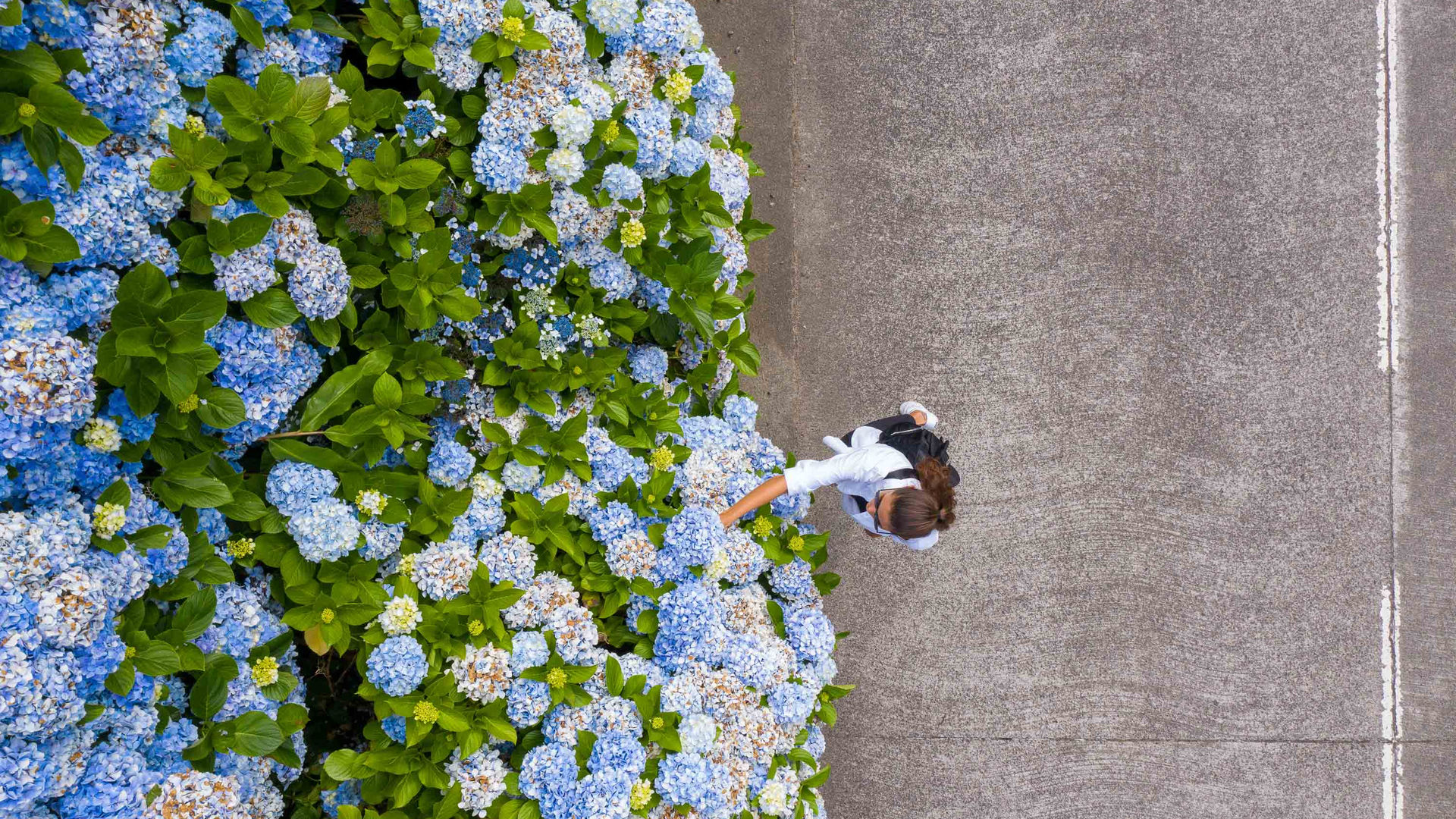 Rua das Hortênsias, Sete Cidadeds, ha de São Miguel
