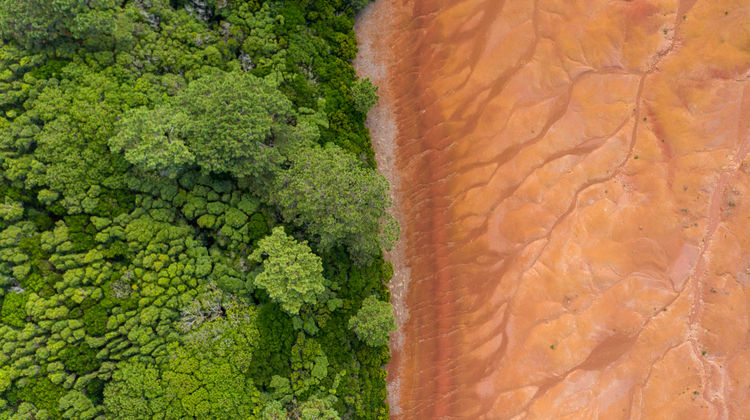 Barreiro da Faneca, Ilha de Santa Maria