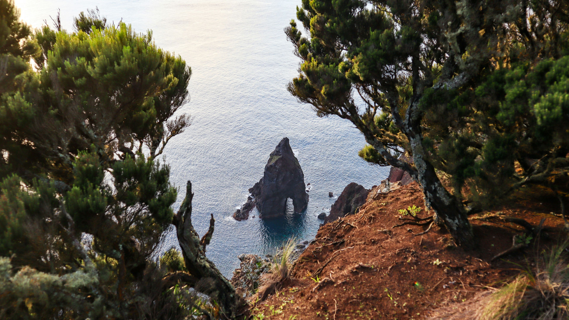 Ilhéus da Ponta dos Rosais, Ilha de São Jorge