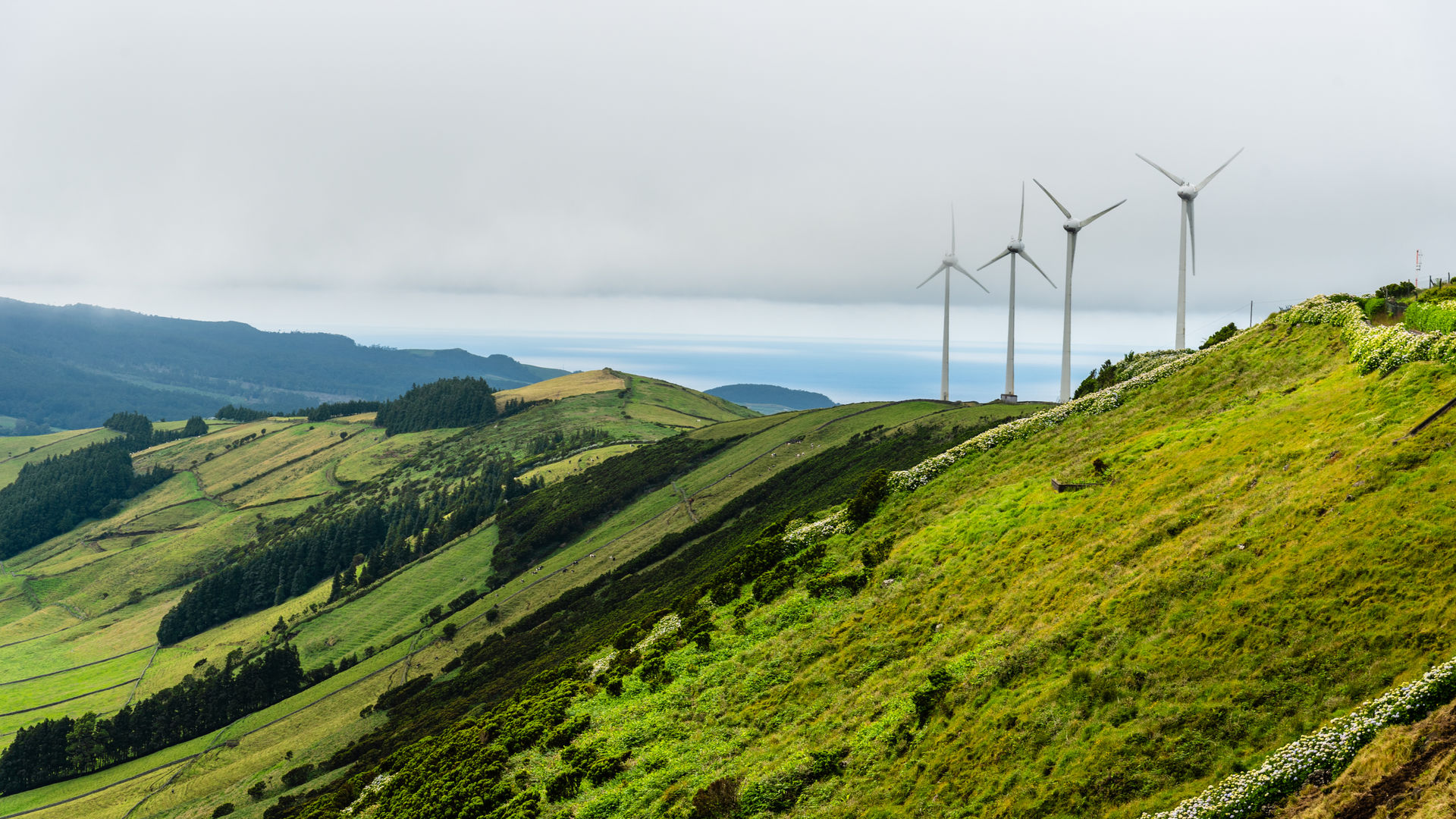 Moinhos de Vento, Ilha Terceira