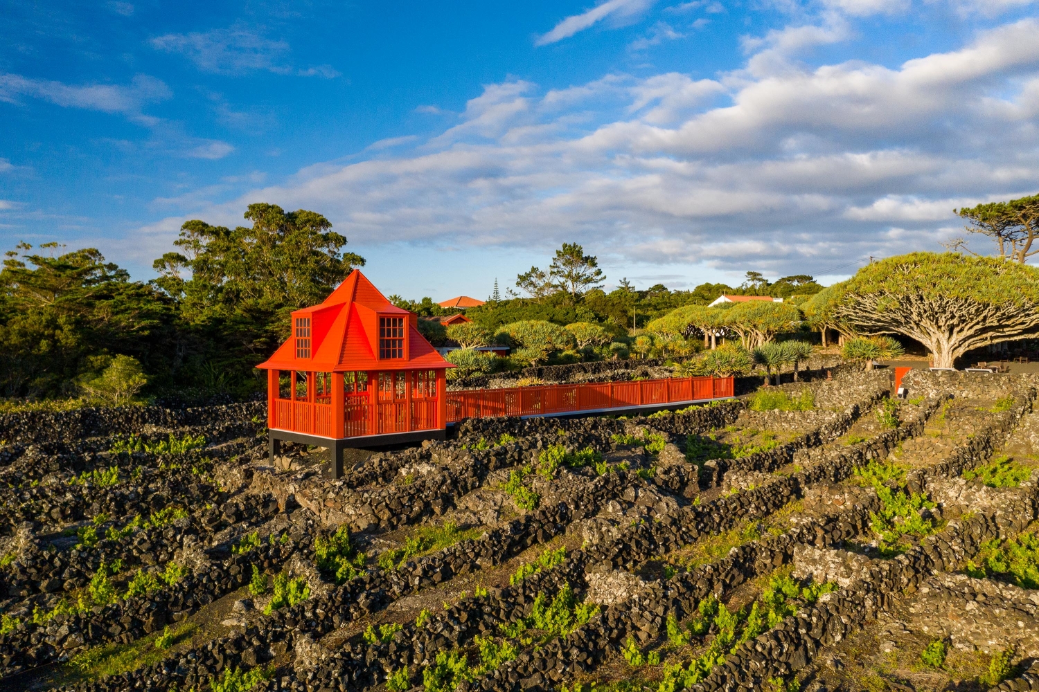 Museu do Vinho, Ilha do Pico