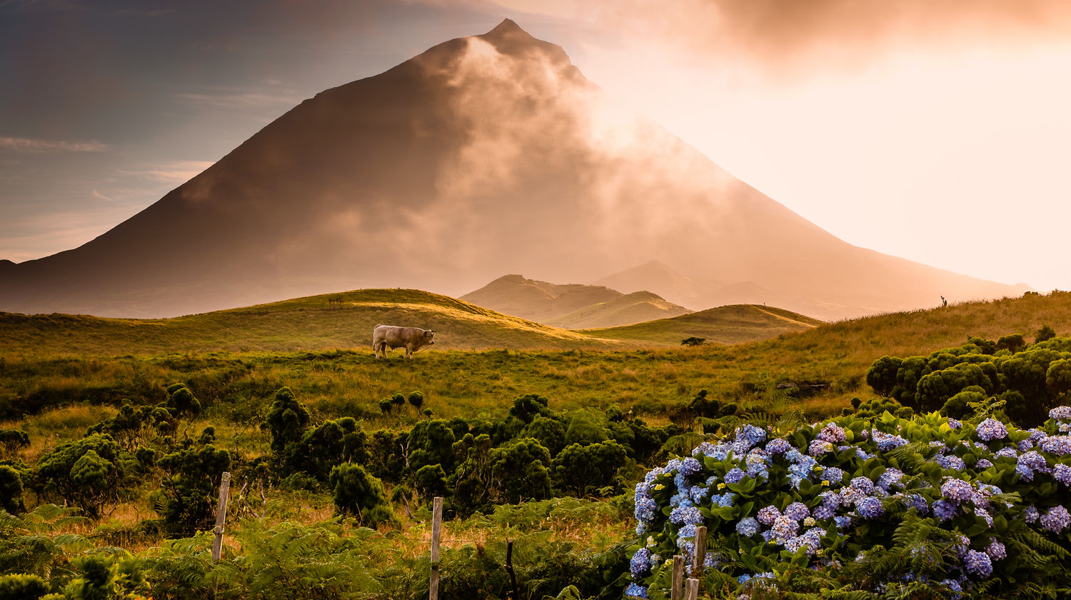 Montanha do Pico, Ilha do Pico