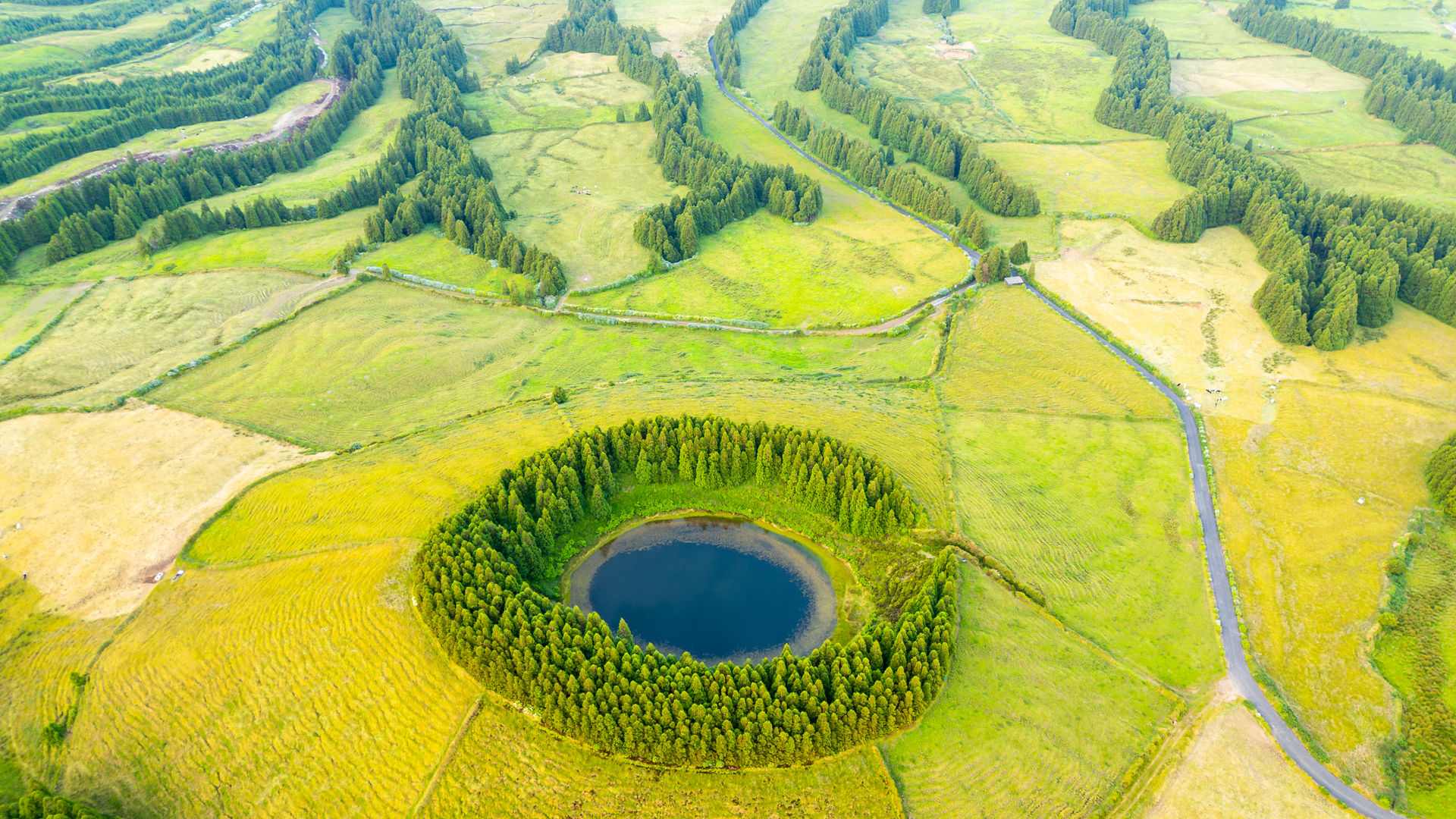 Lagoa Pau Pique, Ilha de São Miguel