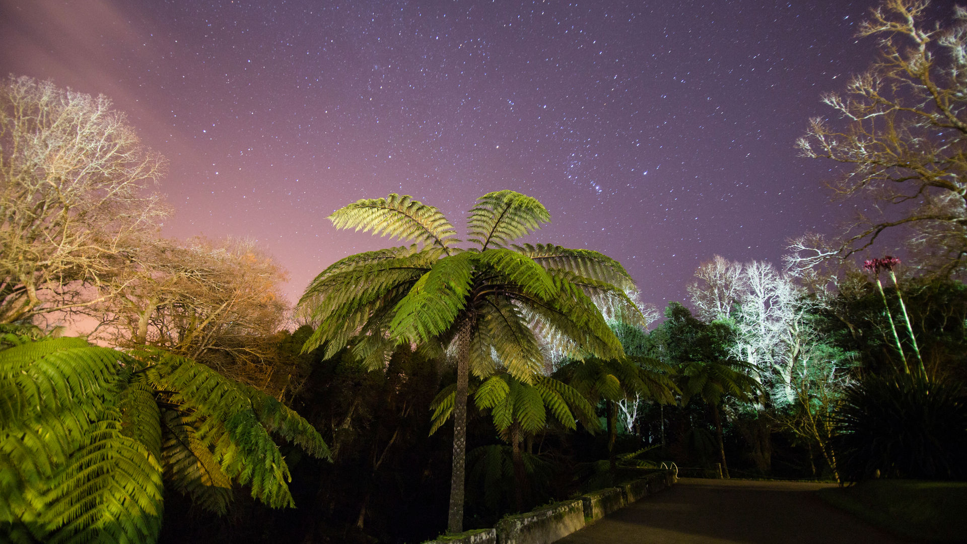 Parque Terra Nostra, Ilha de São Miguel
