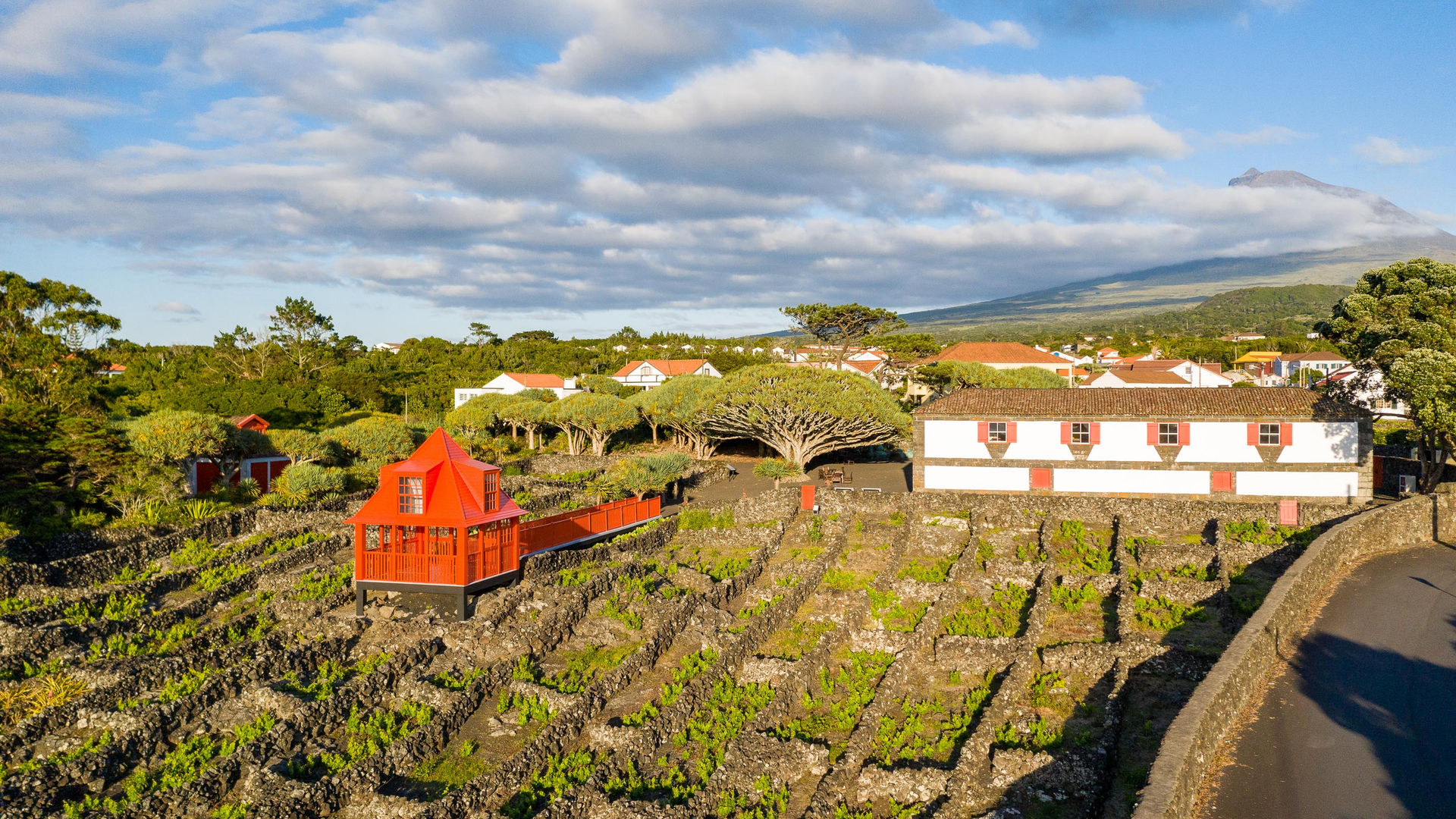 Museu do Vinho, Ilha do Pico