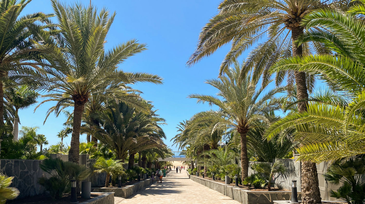 Dunas de Maspalomas
