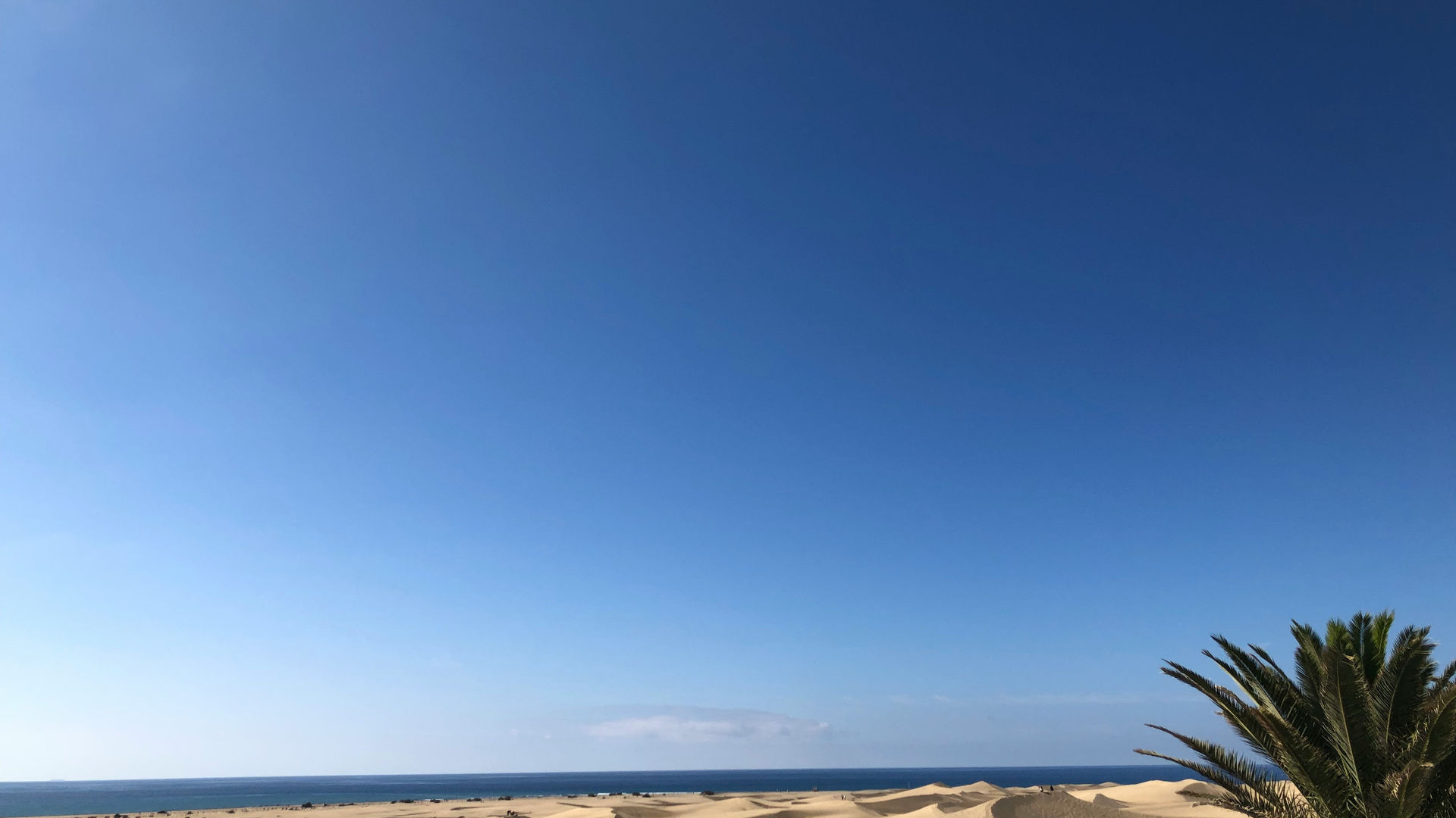 Dunas de Maspalomas