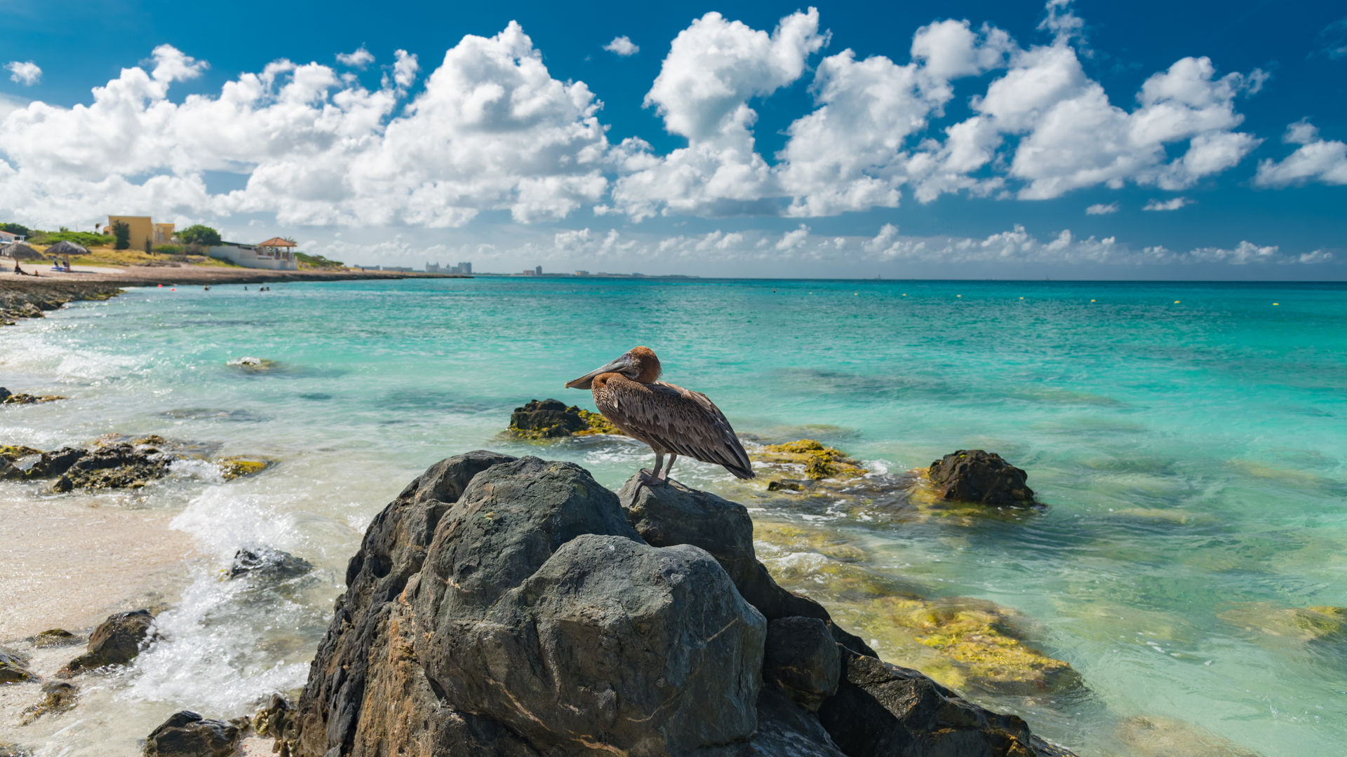 Aruba, Caribbean Sea