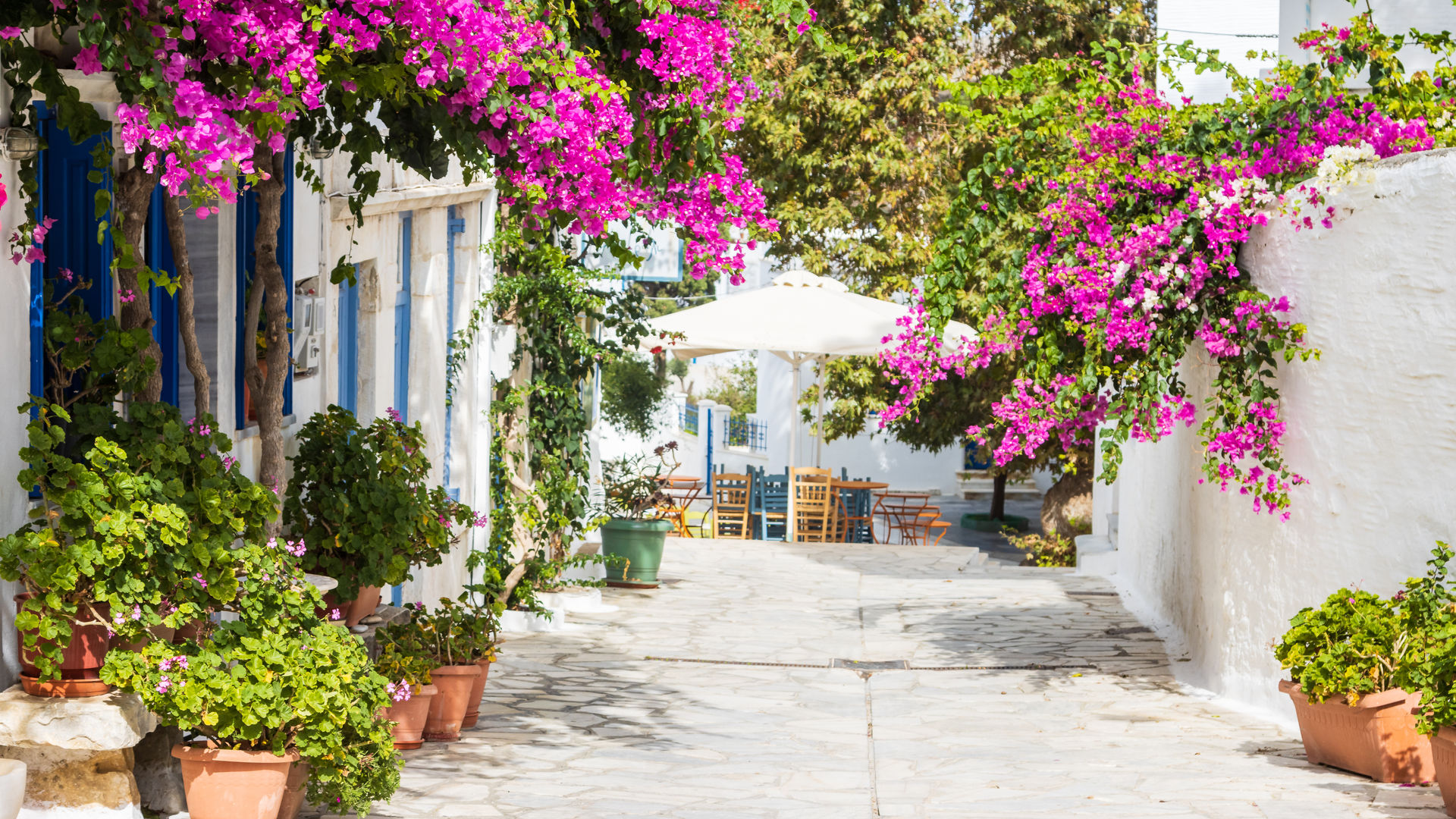 Strolling Through the Flower-Lined Streets of Athens, Greece