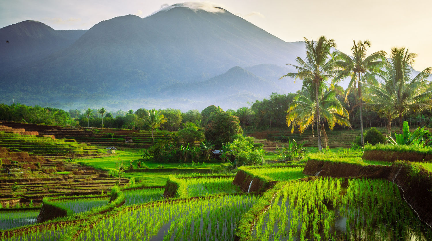 Jatiluwih Rice Terraces, Tabanan, Indonesia