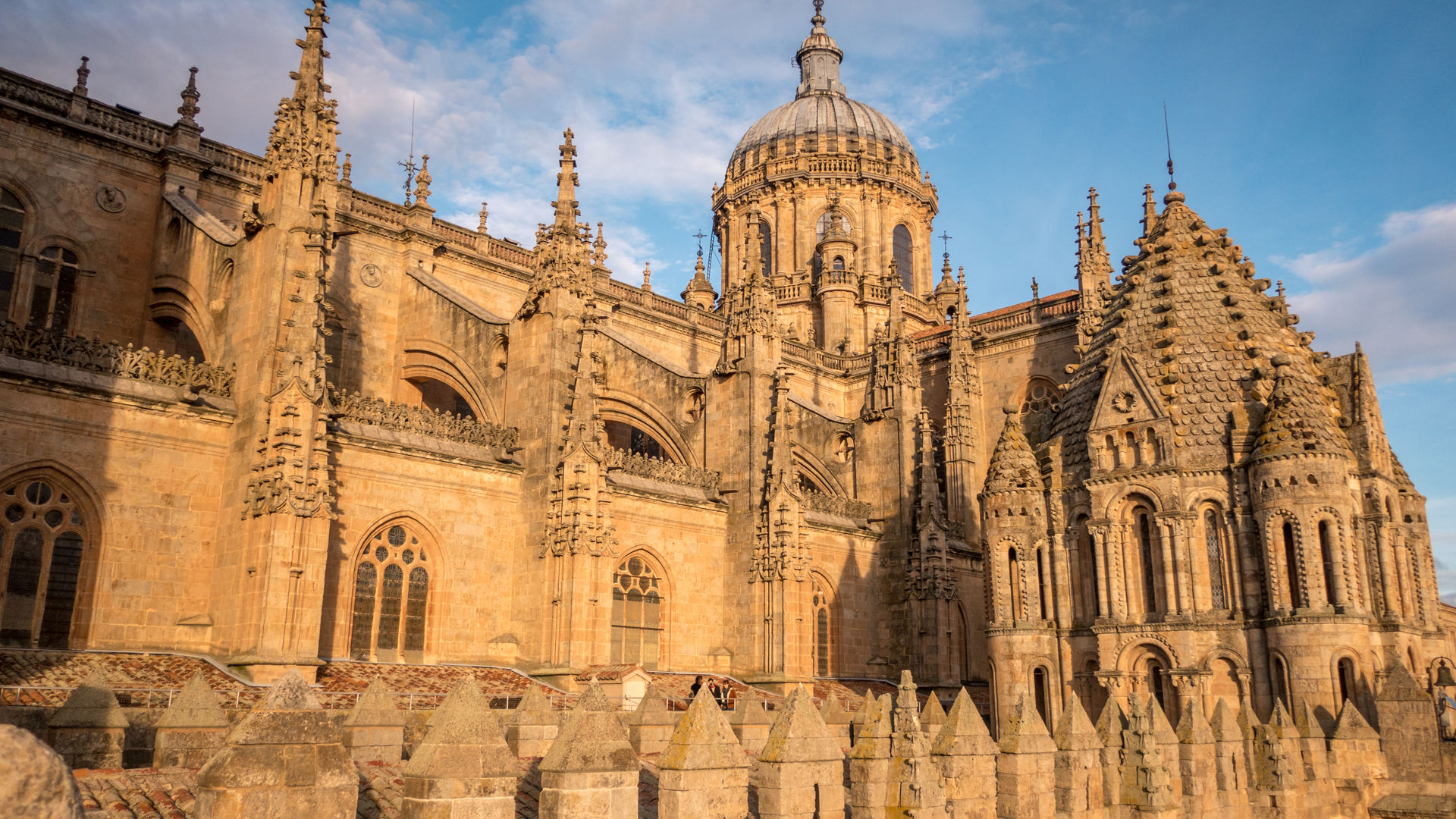 Salamanca Cathedral Façade, Salamanca, Spain