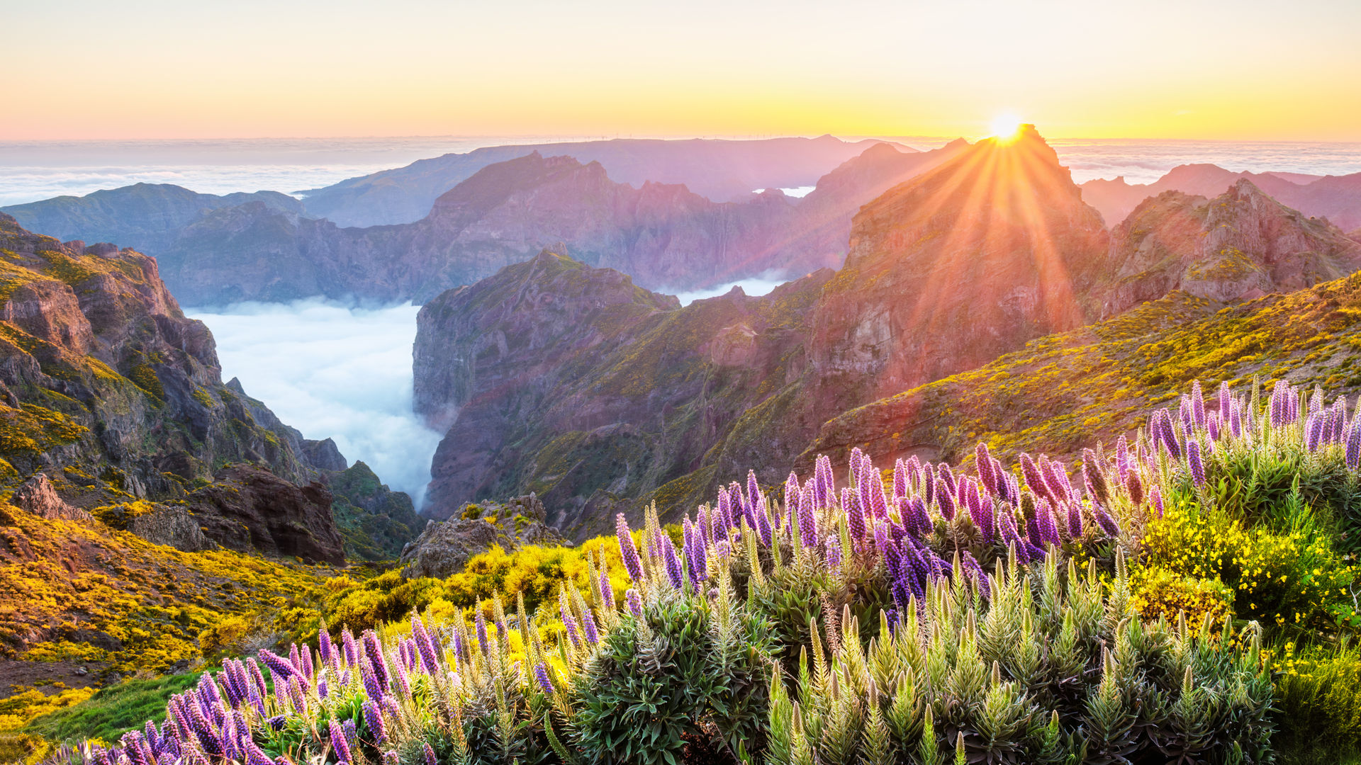 Pico do Arieiro, Madeira Island, Portugal