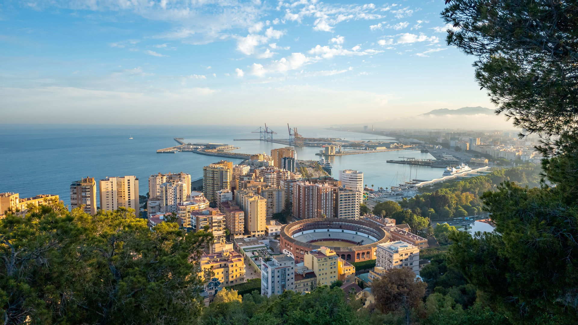 Aerial View of Malaga Port and the Rodeo