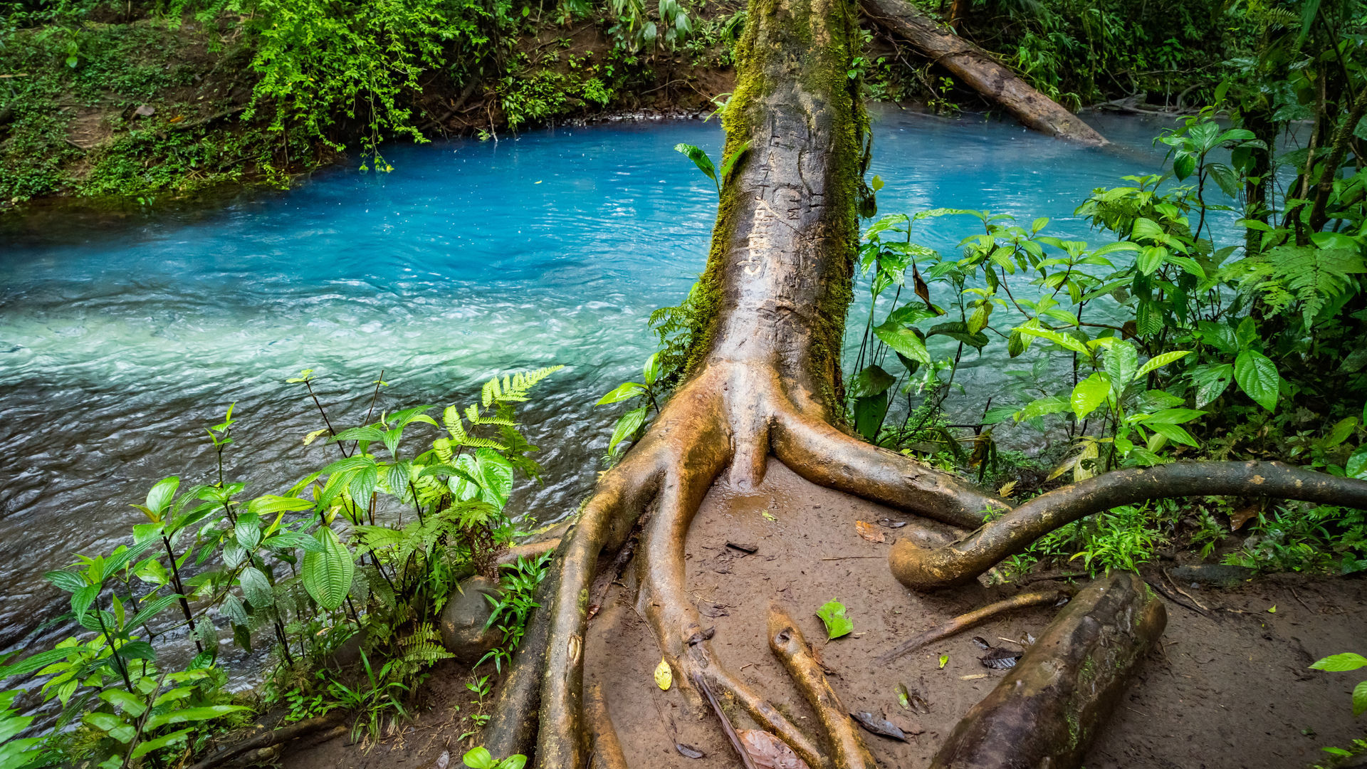 Costa Rica