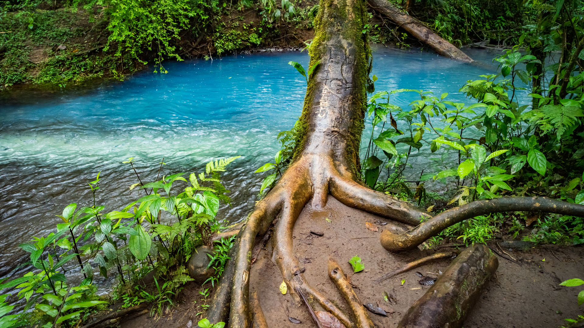 Costa Rica