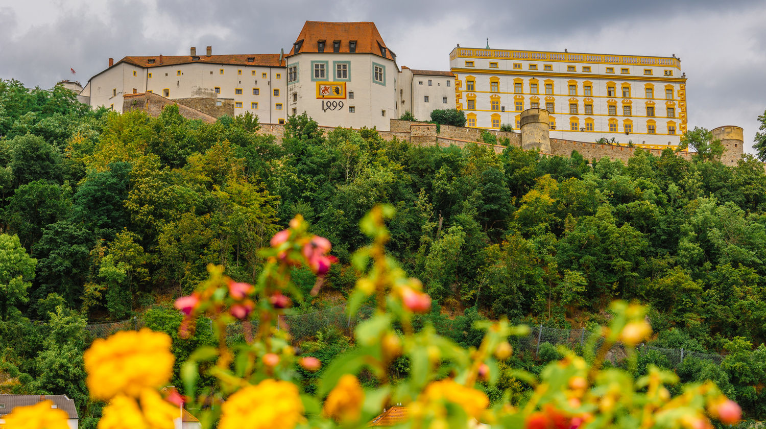 Passau: Boarding A-ROSA Cruise