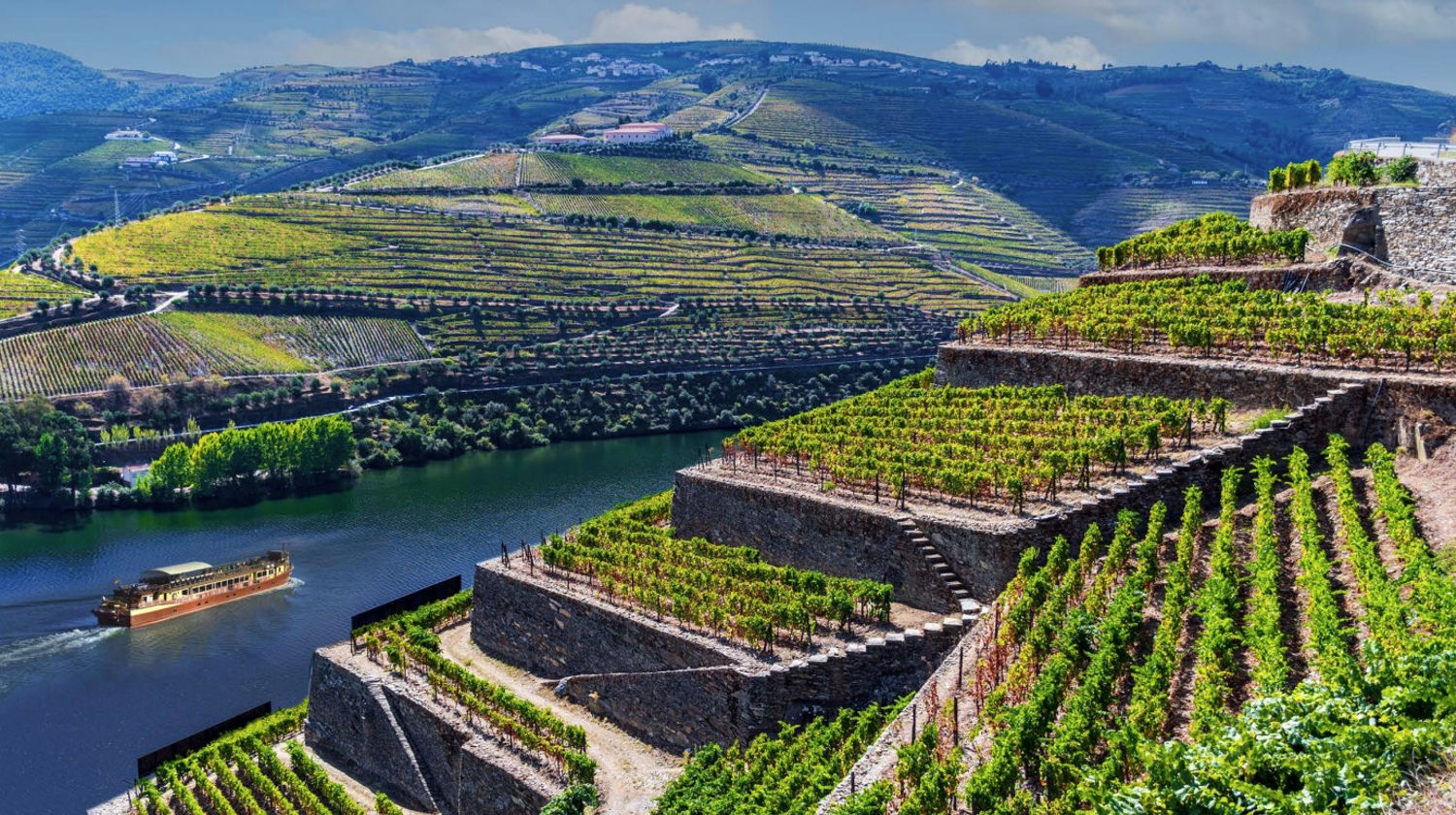 Where the River Meets the Vineyards