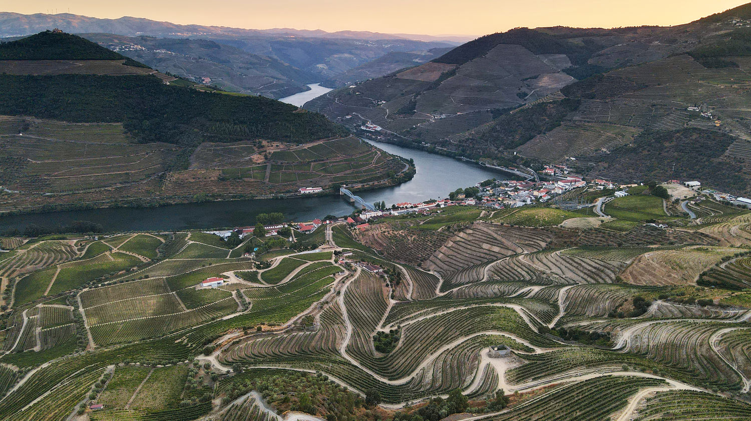 Vineyard Terraces, Douro Valley, Portugal