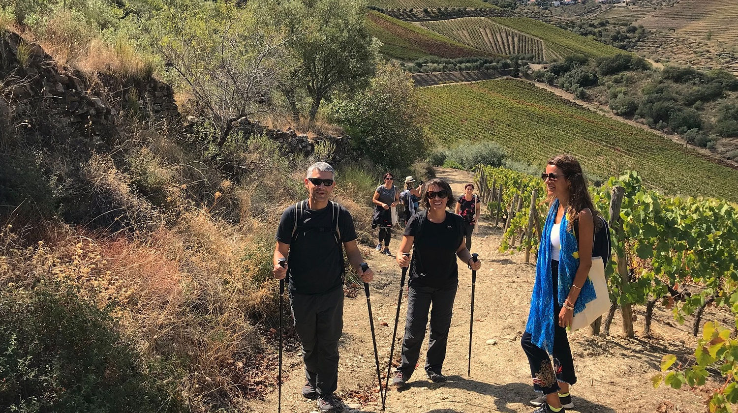 Vineyard Hiking Trail, Douro Valley, Portugal