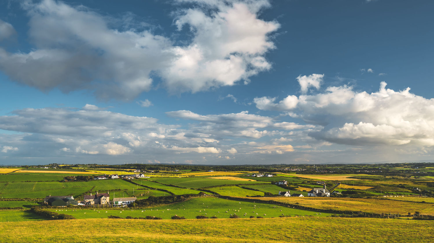 Irish Countryside
