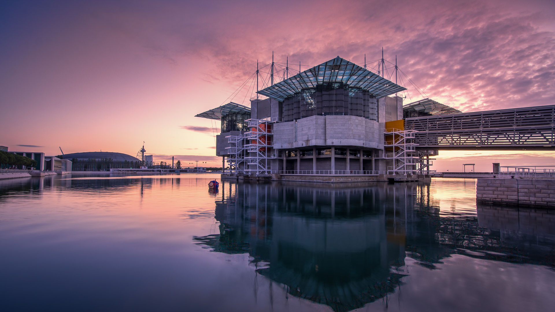 Lisbon Oceanarium