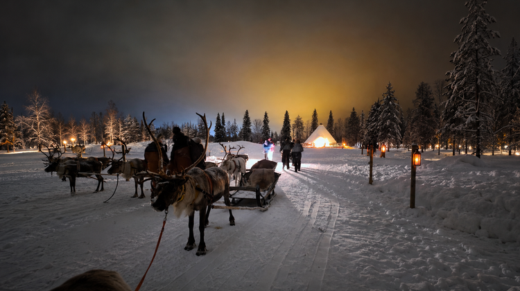 <p>Husky Sledding or Reindeer Farm</p>