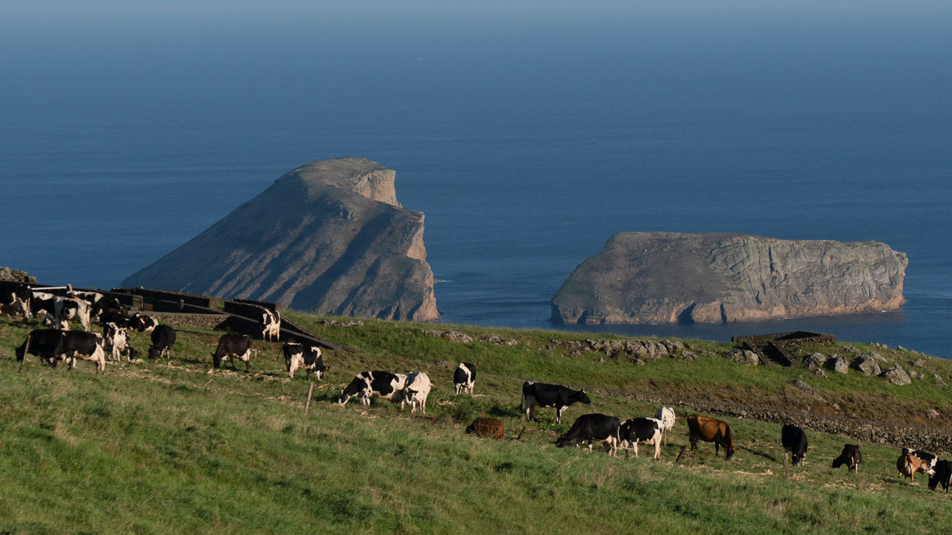 Rural Landscape, Terceira Island