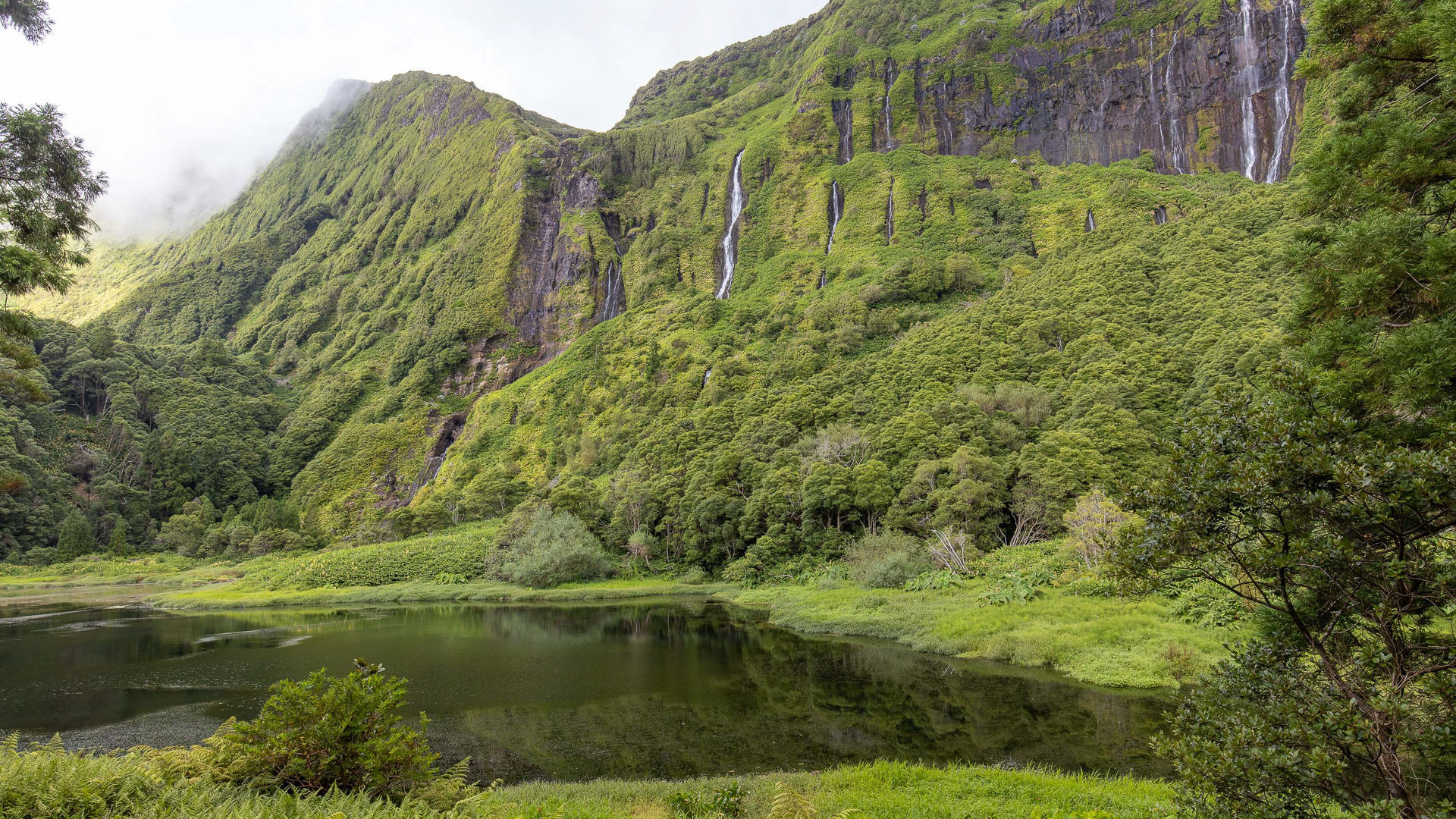 Poço da Ribeira do Ferreiro, Flores Island