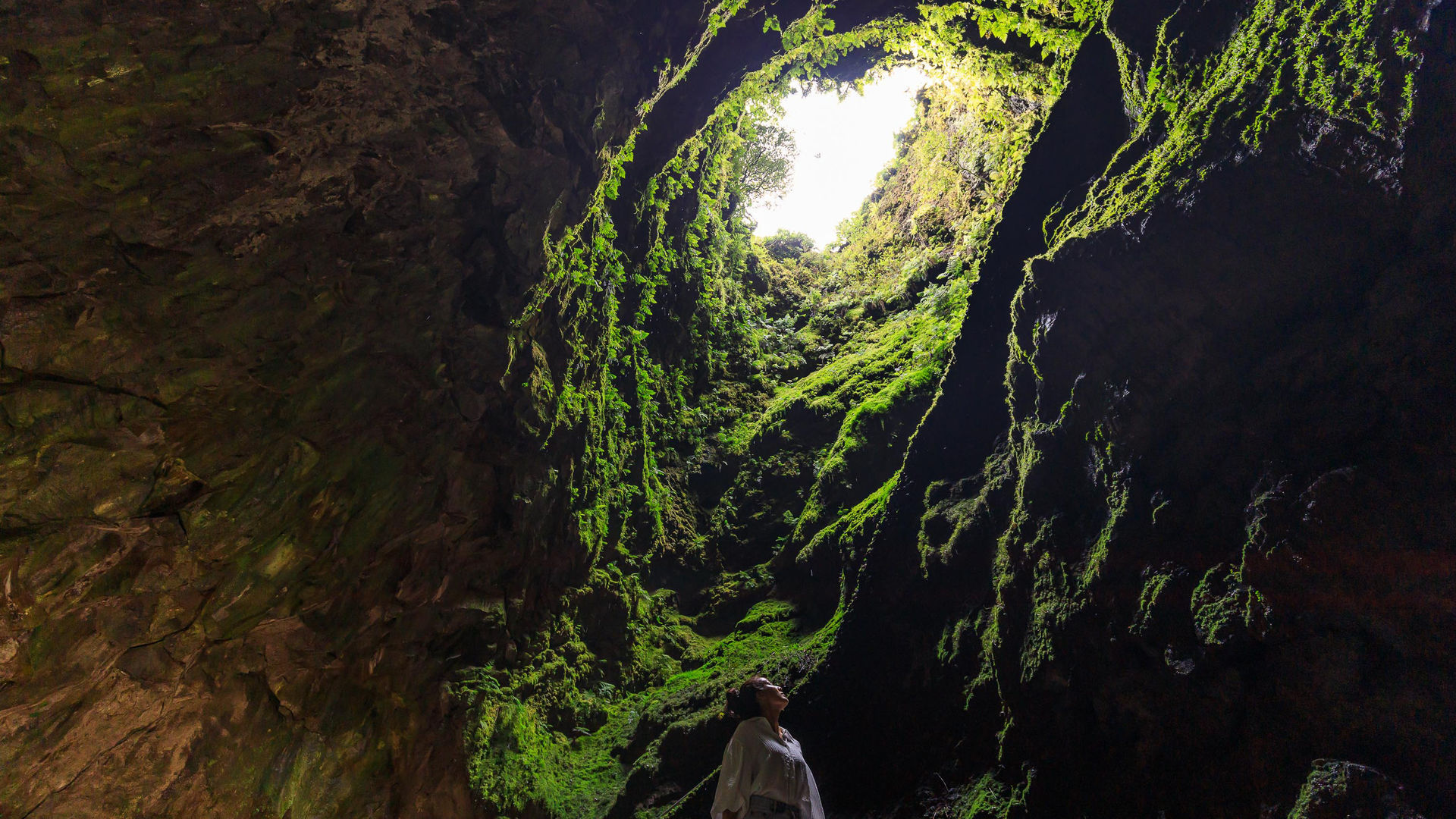 Algar do Carvão Cave, Terceira Island