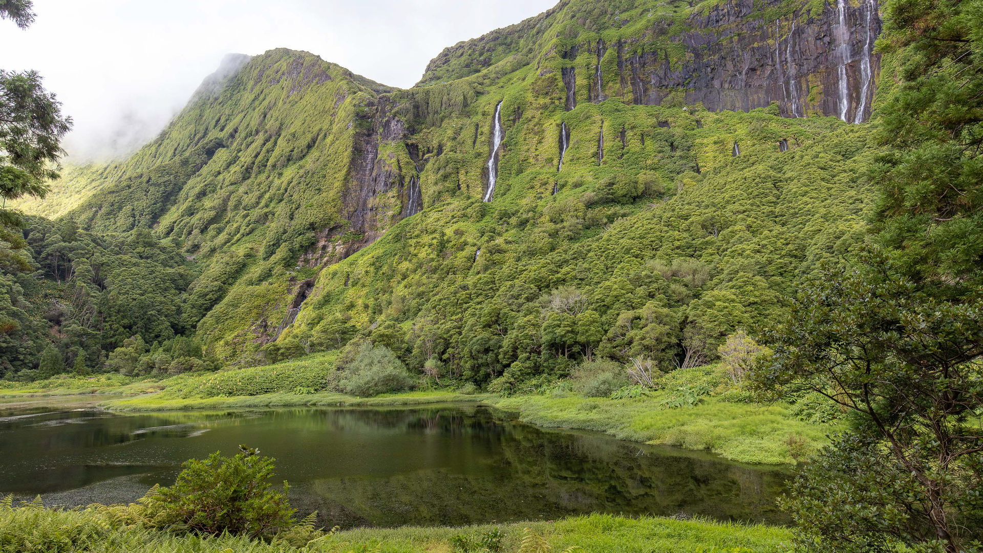 Poço da Ribeira do Ferreiro, Flores Island