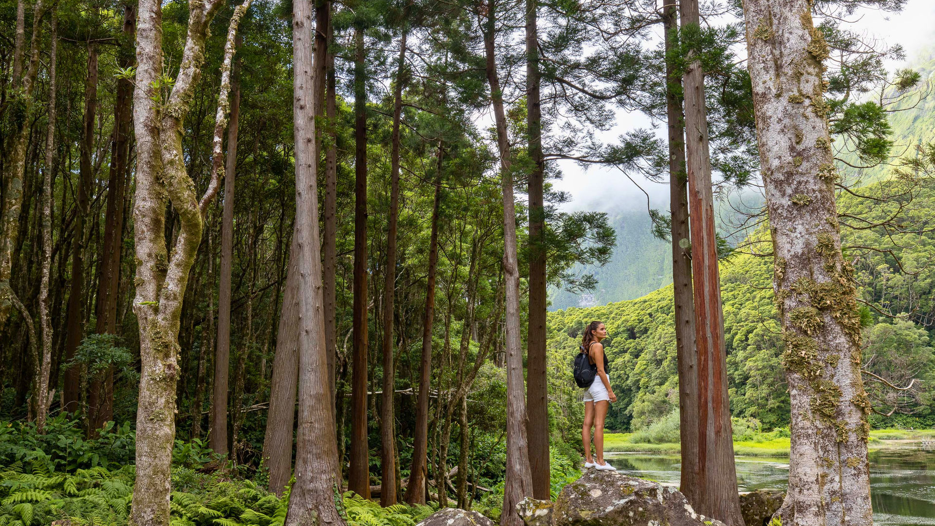 Forest trail to Poço da Ribeira do Ferreiro