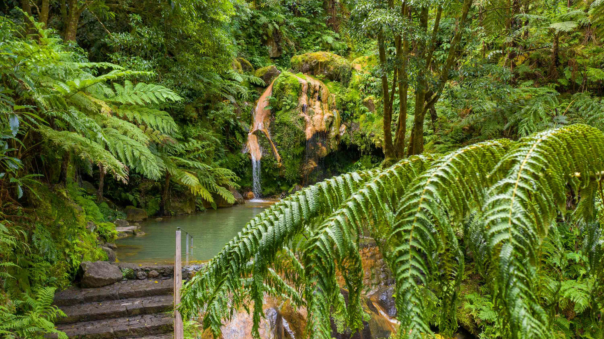 Relax in the Warm Waters of Caldeira Velha Thermal Pool, São Miguel Island